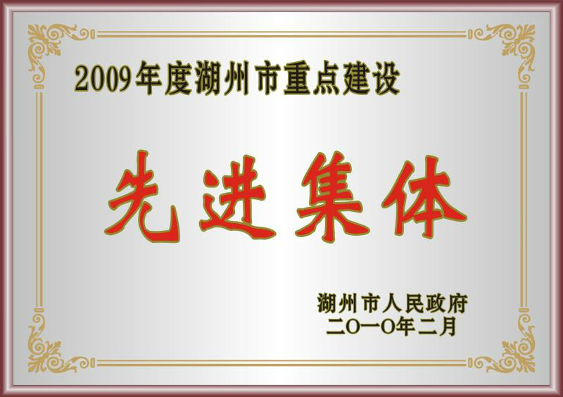 2009年度湖州市重點建設先進集體